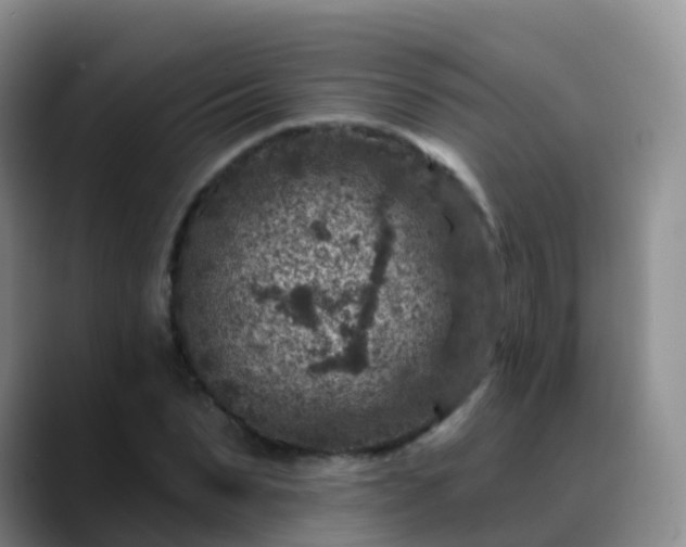 X0000088880879200706151809