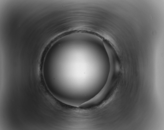 X0000088880880200706151809