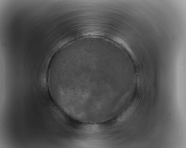 X0000088880882200706151809