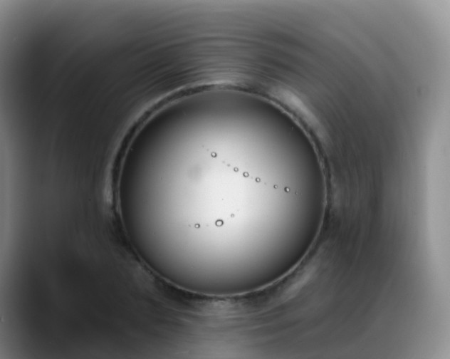 X0000088880883200706151809