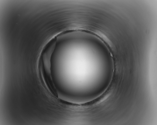 X0000088880885200706151809