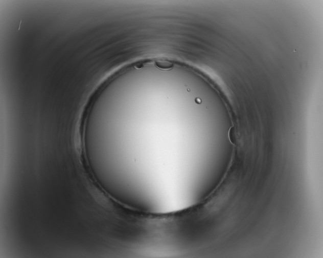 X0000088880887200706151809