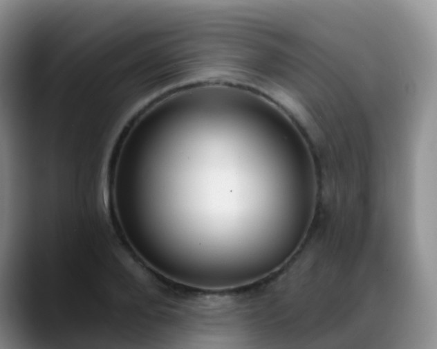 X0000088880888200706151809