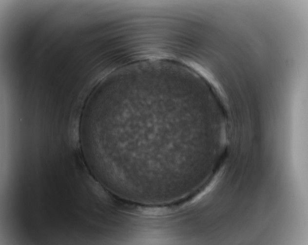 X0000088880889200706151809