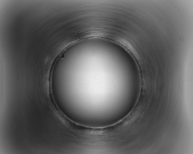 X0000088880890200706151809