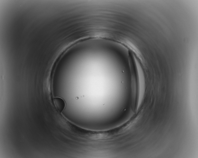 X0000088880891200706151809