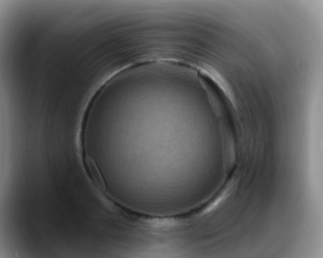 X0000088880893200706151809