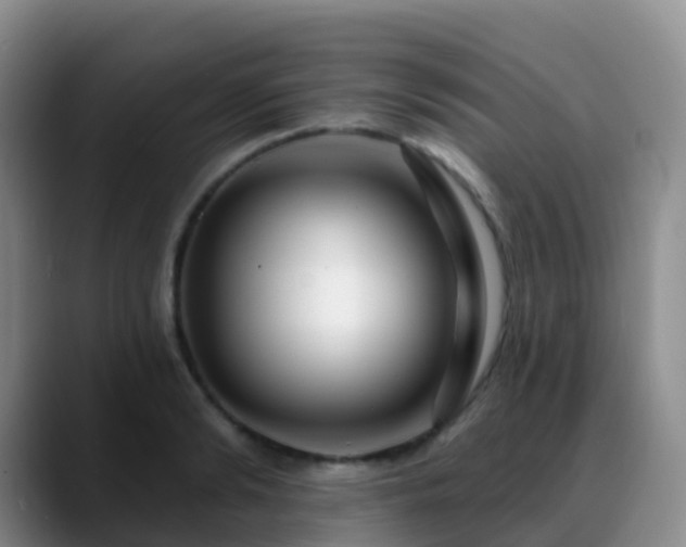 X0000088880894200706151809