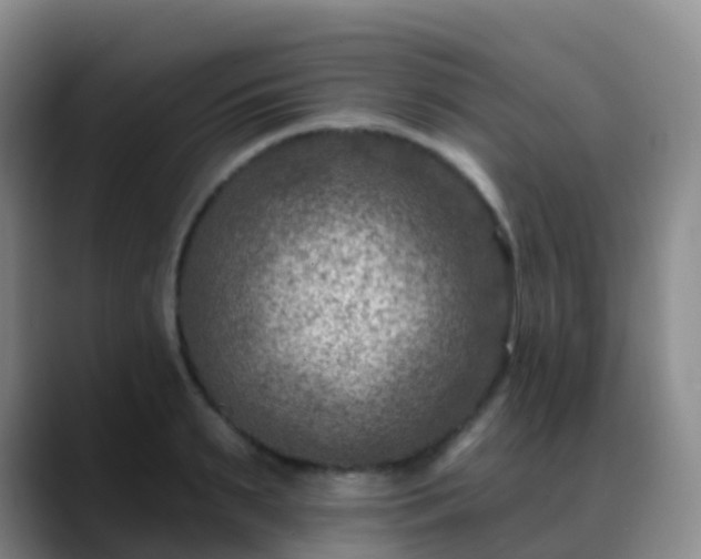 X0000088880895200706151809