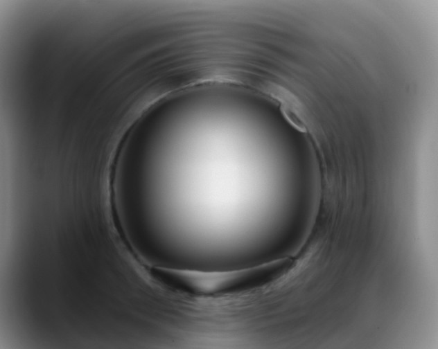 X0000088880898200706151809