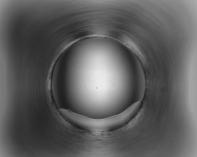 X0000088880900200706151809