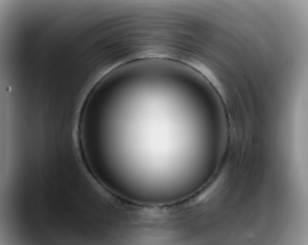 X0000088880901200706151809