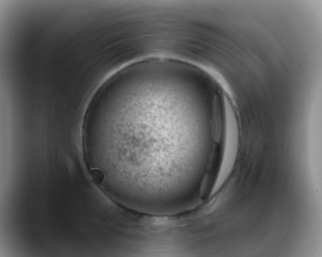 X0000088880903200706151809