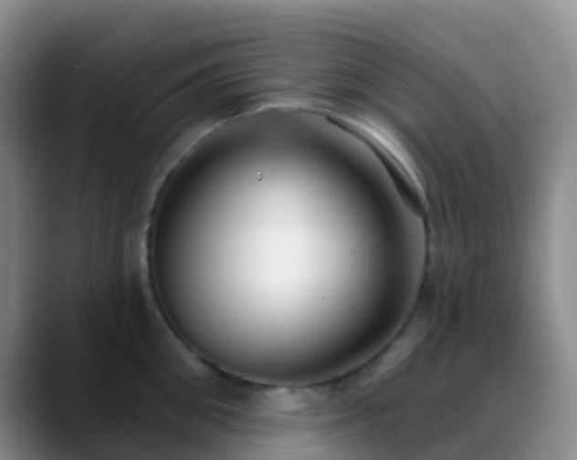 X0000088880906200706151809