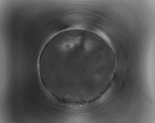 X0000088880907200706151809