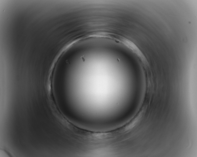 X0000088880908200706151809