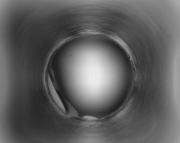 X0000088880909200706151809