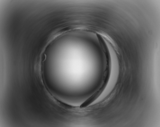 X0000088880910200706151809