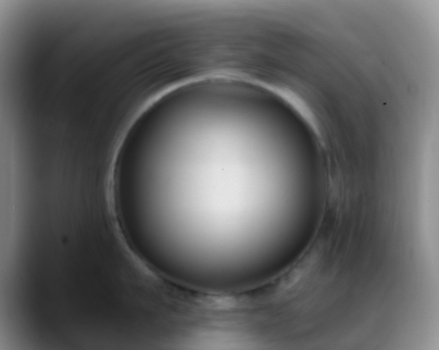 X0000088880911200706151809