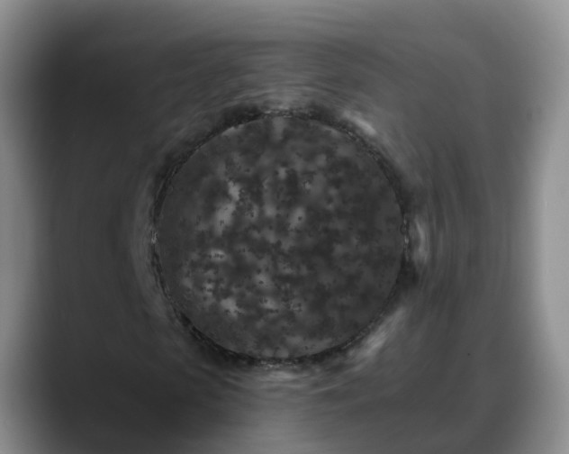 X0000088880913200706151808