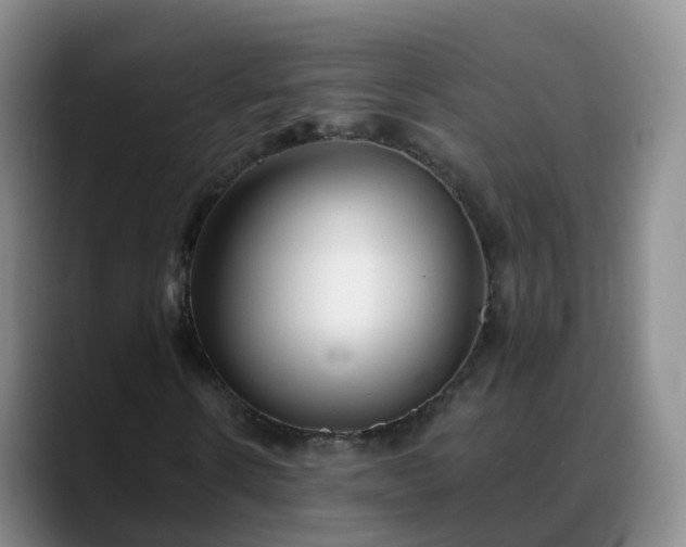 X0000088880914200706151808