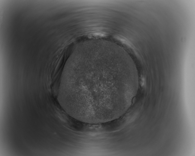 X0000088880915200706151808