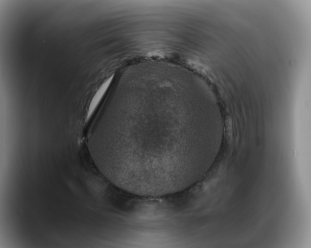 X0000088880916200706151808