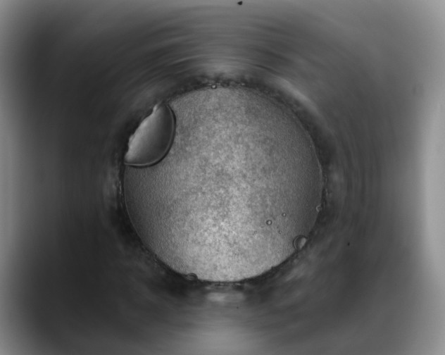 X0000088880918200706151808