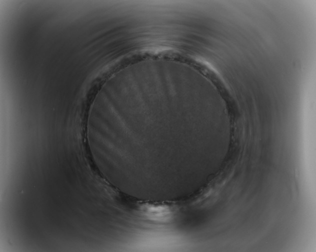 X0000088880919200706151808