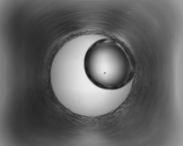 X0000088880920200706151808