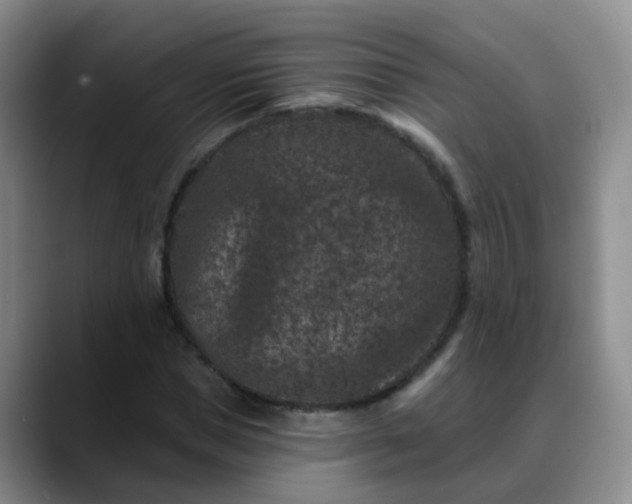 X0000088880921200706151808