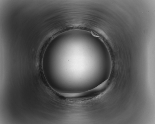 X0000088880922200706151808