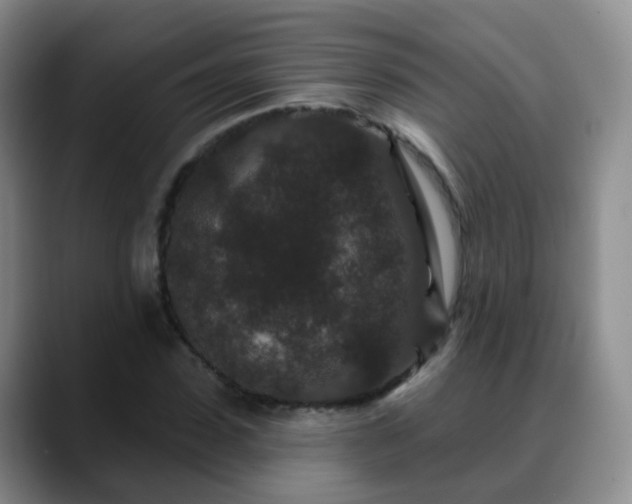 X0000088880923200706151808