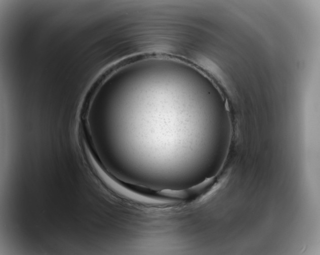 X0000088880924200706151808