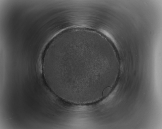 X0000088880925200706151809