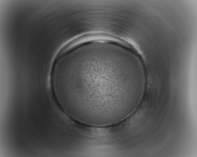 X0000088880928200706151809