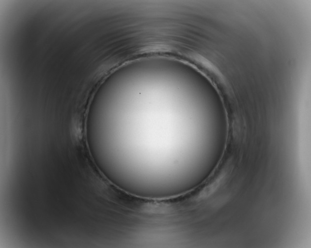 X0000088880929200706151809