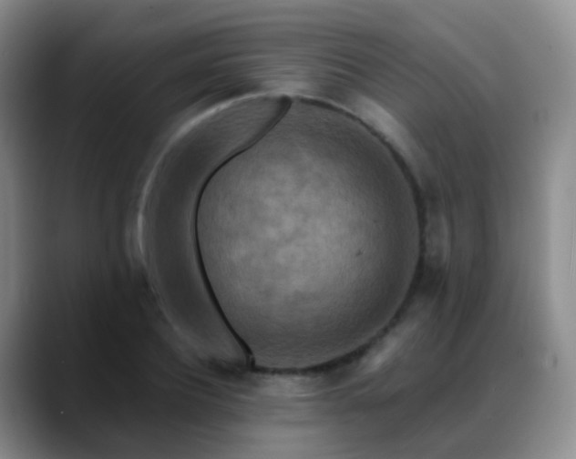 X0000088880932200706151809