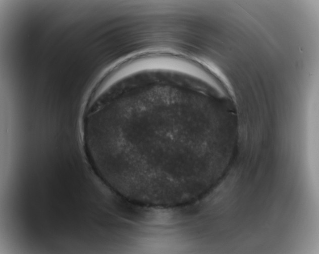 X0000088880935200706151809