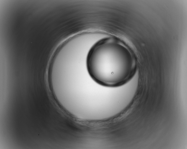 X0000088880936200706151809