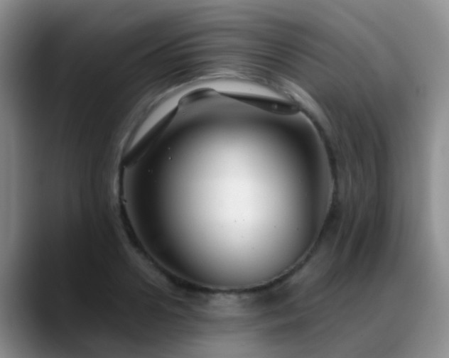 X0000088880938200706151809