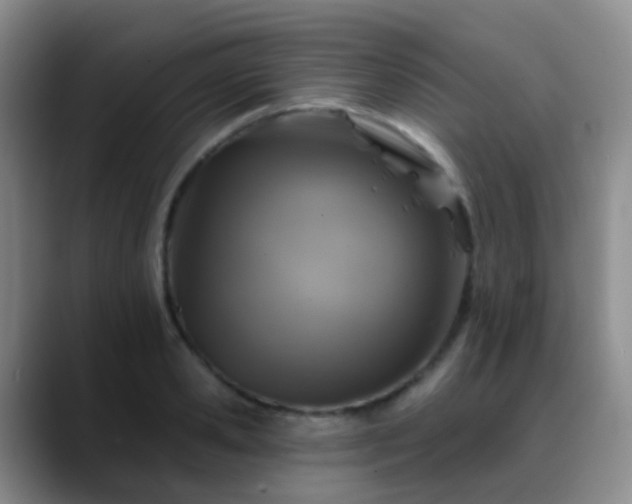 X0000088880941200706151809