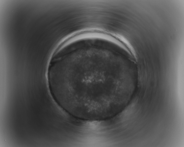 X0000088880943200706151809