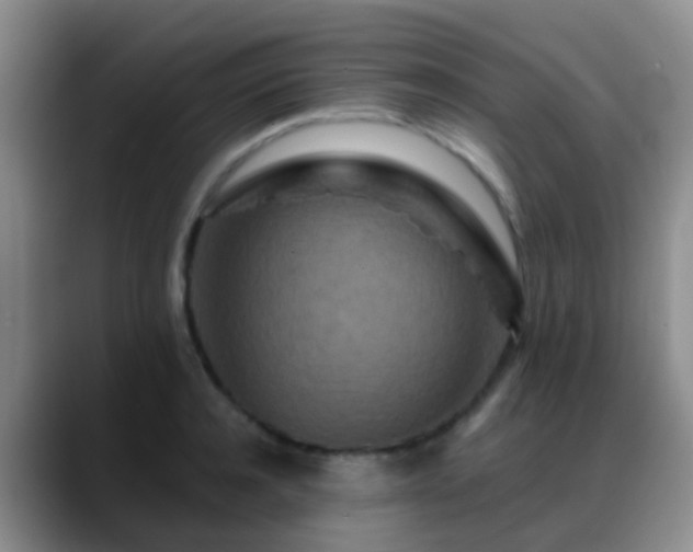 X0000088880944200706151809