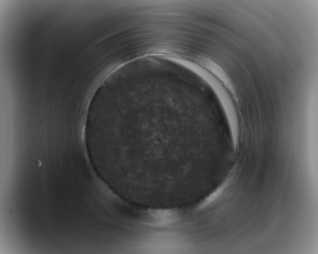 X0000088880946200706151809