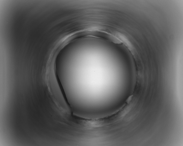 X0000088880948200706151809