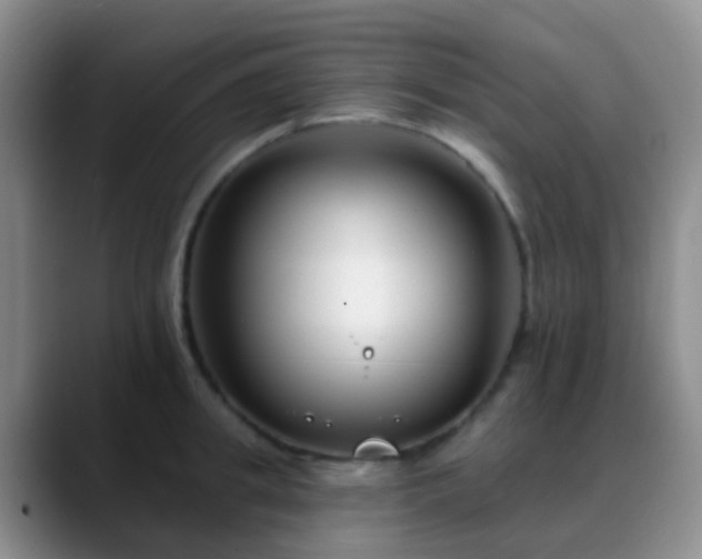 X0000088880949200706151809