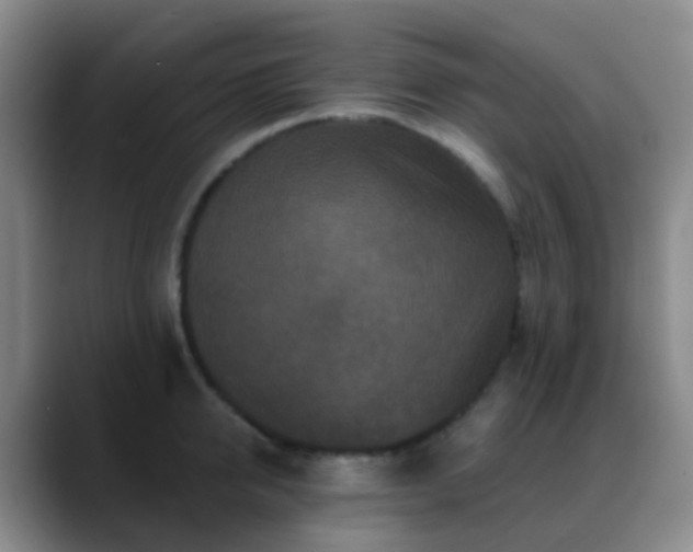 X0000088880950200706151809