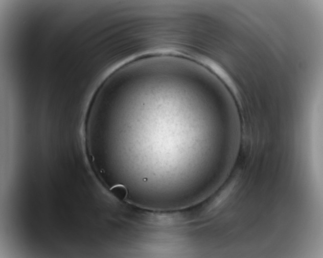 X0000088880951200706151809