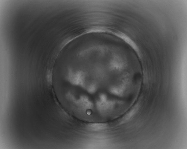 X0000088880953200706151809